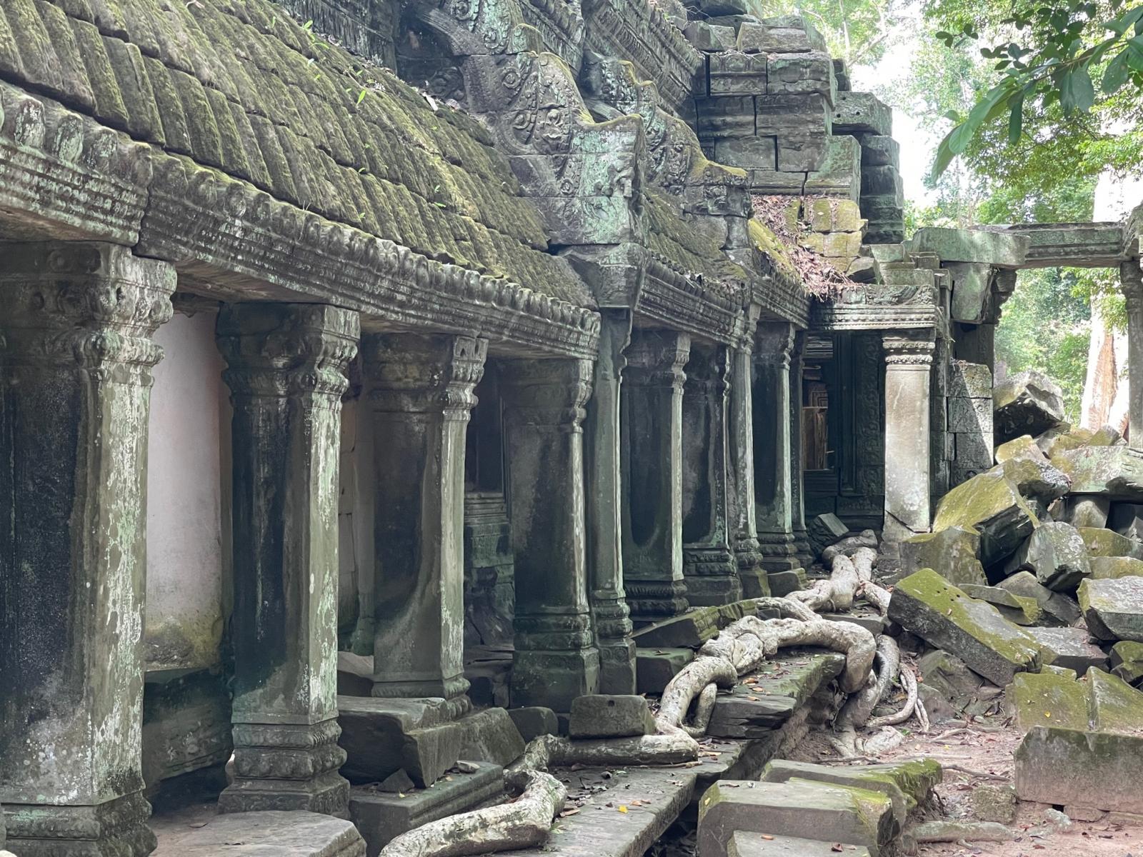 ta_prohm.jpg